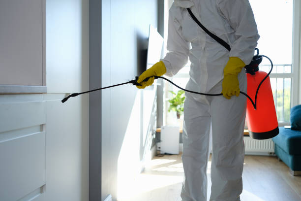 Best Toxic Mold Removal  in Harbor Springs, MI